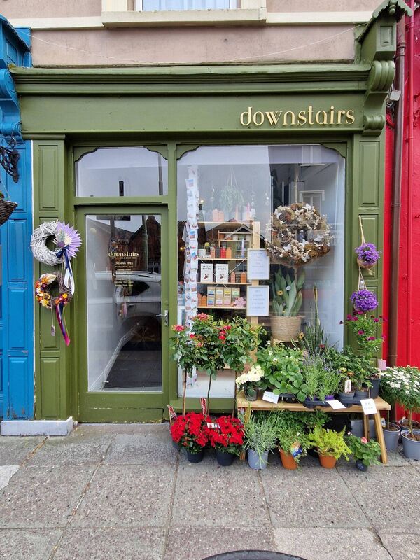 Green shopfront with the word downstairs above a window display of flowers and potted plants
